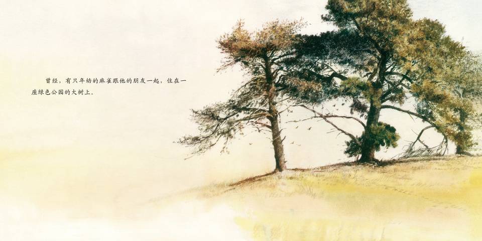 断喙鸟 (03),绘本,绘本故事,绘本阅读,故事书,童书,图画书,课外阅读
